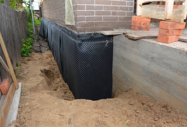 Happy homeowners after waterproofing job in Clare